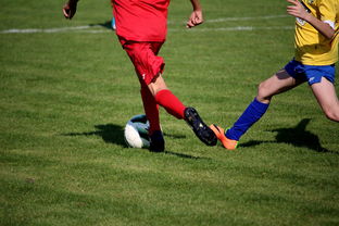 kaiyun登录入口-羽毛球国家队封闭训练专注体能与反应,羽毛球国家队是怎么训练的