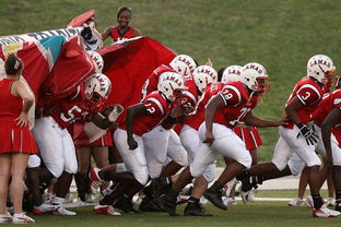 开云体育链接-青少年体育俱乐部认证标准出台,国家级青少年体育俱乐部要求